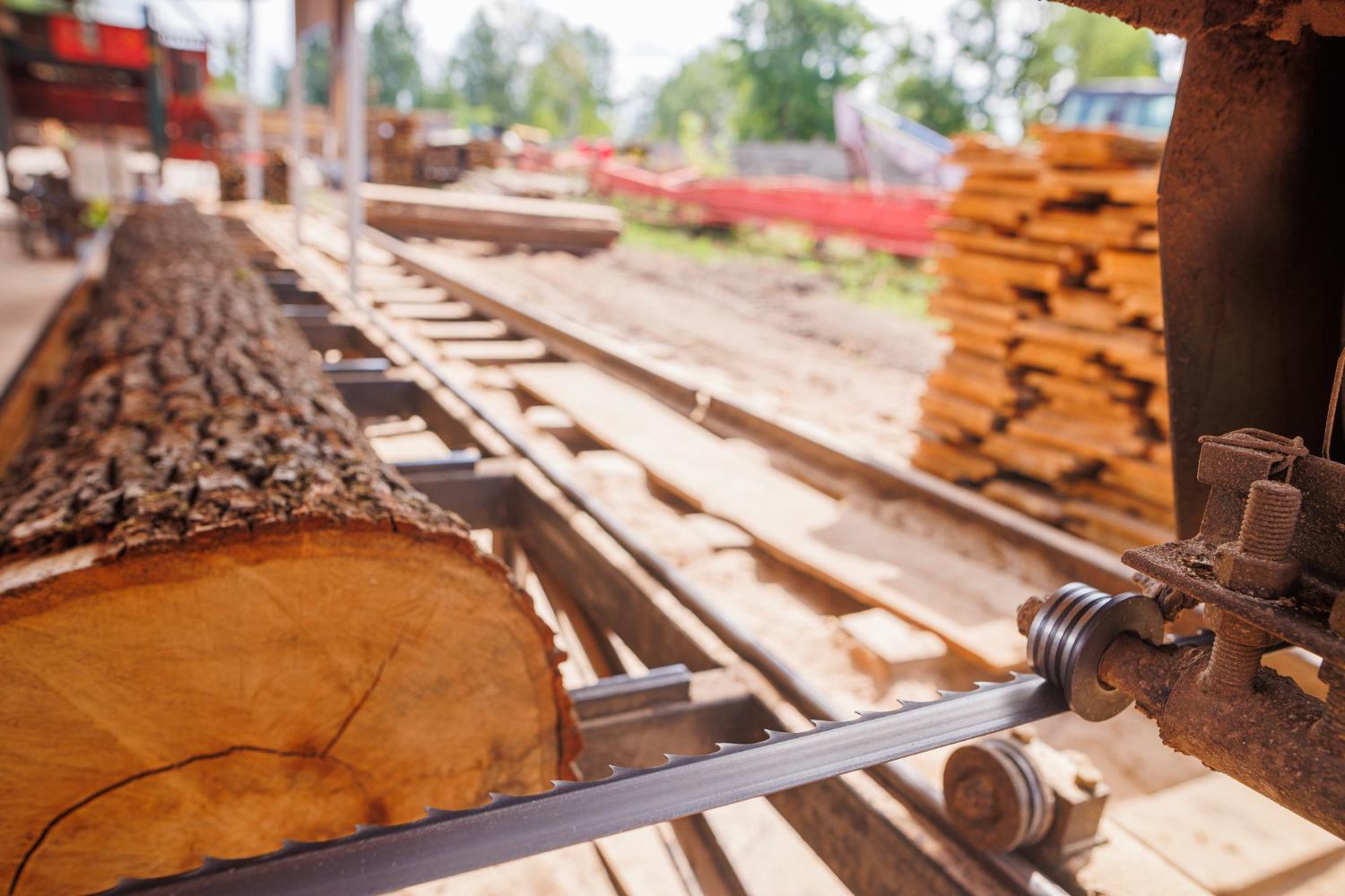 Newman Machine Company: Innovating For The Timber Industry’s Success